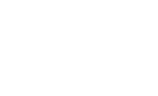 Viavox Travel